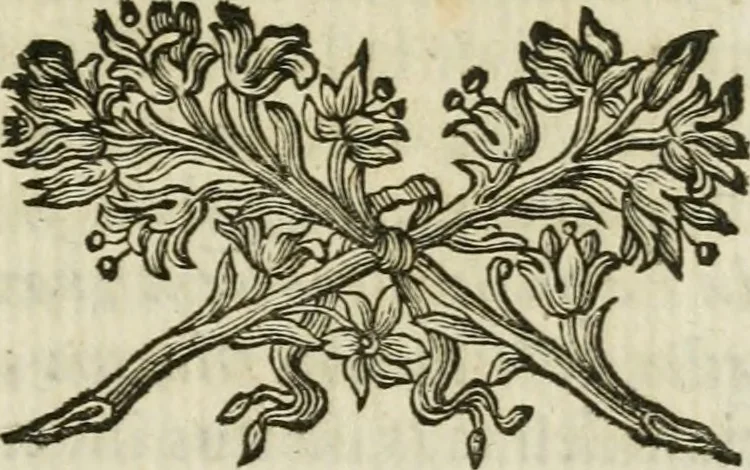 An illustration from Monumenta veteris Antii, hoc est, Inscriptio M. Aquilii et tabula solis Mithrae variis figuris & symbolis exsculpta quae nuper inibi reperta, nunc prodeunt commentari illustrata, & accuratè explicata : accedunt Dissertationes de Beleno et aliis quibusdam Aquilejensium diis. et De colonia Forojuliensi, 1700, leaf 128