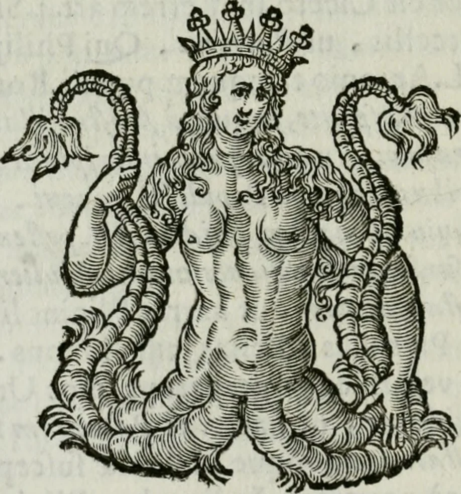 An illustration from Monumenta veteris Antii, hoc est, Inscriptio M. Aquilii et tabula solis Mithrae variis figuris & symbolis exsculpta quae nuper inibi reperta, nunc prodeunt commentari illustrata, & accuratè explicata : accedunt Dissertationes de Beleno et aliis quibusdam Aquilejensium diis. et De colonia Forojuliensi, 1700, leaf 179