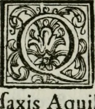 An illustration from Monumenta veteris Antii, hoc est, Inscriptio M. Aquilii et tabula solis Mithrae variis figuris & symbolis exsculpta quae nuper inibi reperta, nunc prodeunt commentari illustrata, & accuratè explicata : accedunt Dissertationes de Beleno et aliis quibusdam Aquilejensium diis. et De colonia Forojuliensi, 1700, leaf 315