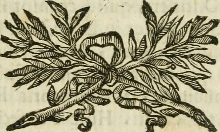 An illustration from Monumenta veteris Antii, hoc est, Inscriptio M. Aquilii et tabula solis Mithrae variis figuris & symbolis exsculpta quae nuper inibi reperta, nunc prodeunt commentari illustrata, & accuratè explicata : accedunt Dissertationes de Beleno et aliis quibusdam Aquilejensium diis. et De colonia Forojuliensi, 1700, leaf 74