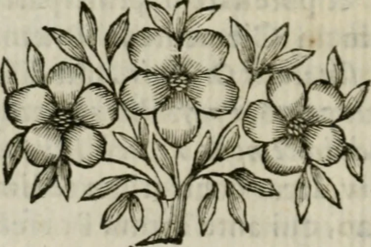 An illustration from Monumenta veteris Antii, hoc est, Inscriptio M. Aquilii et tabula solis Mithrae variis figuris & symbolis exsculpta quae nuper inibi reperta, nunc prodeunt commentari illustrata, & accuratè explicata : accedunt Dissertationes de Beleno et aliis quibusdam Aquilejensium diis. et De colonia Forojuliensi, 1700, leaf 93
