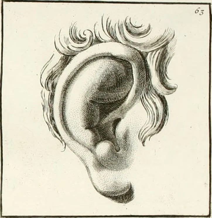 An illustration from Monumenti antichi inediti, 1767, leaf 187