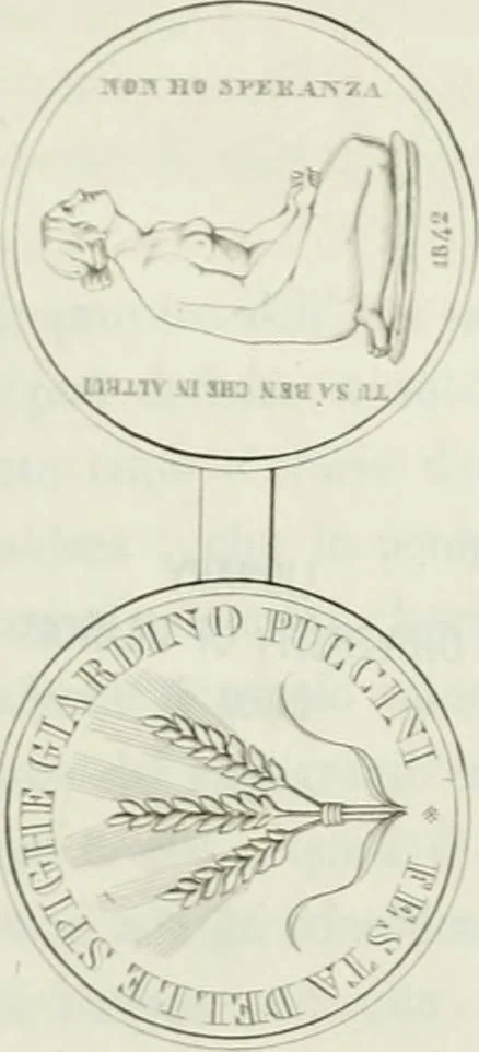 An illustration from Monumenti del Giardino Puccini, 1845, leaf 295