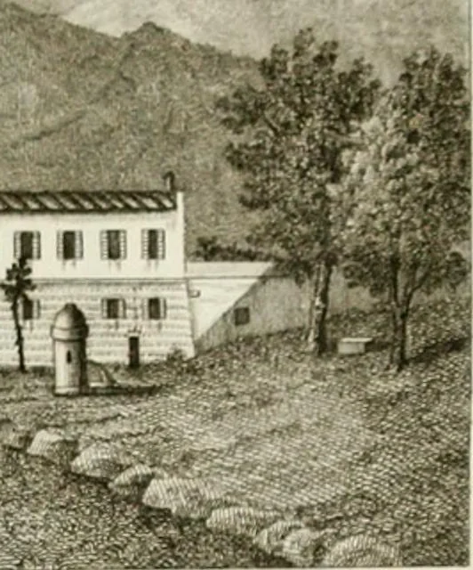 An illustration from Monumenti del Giardino Puccini, 1845, leaf 624