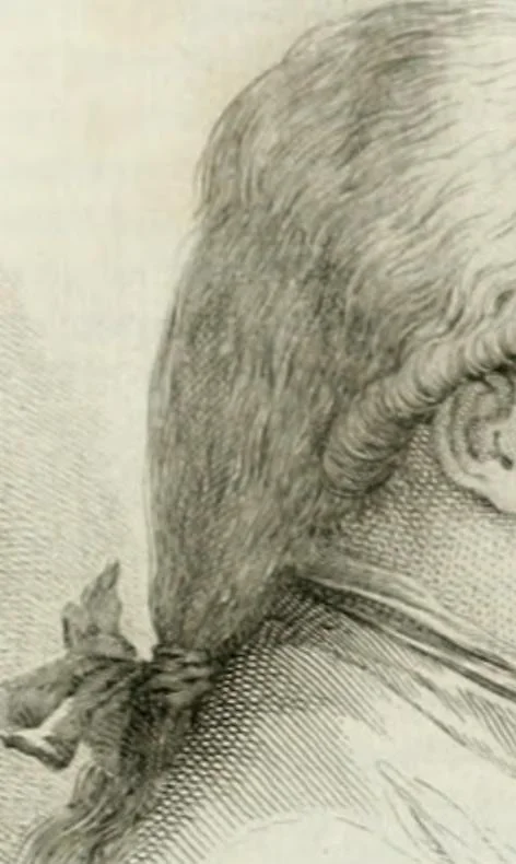 An illustration from Monumenti del Giardino Puccini, 1845, leaf 649