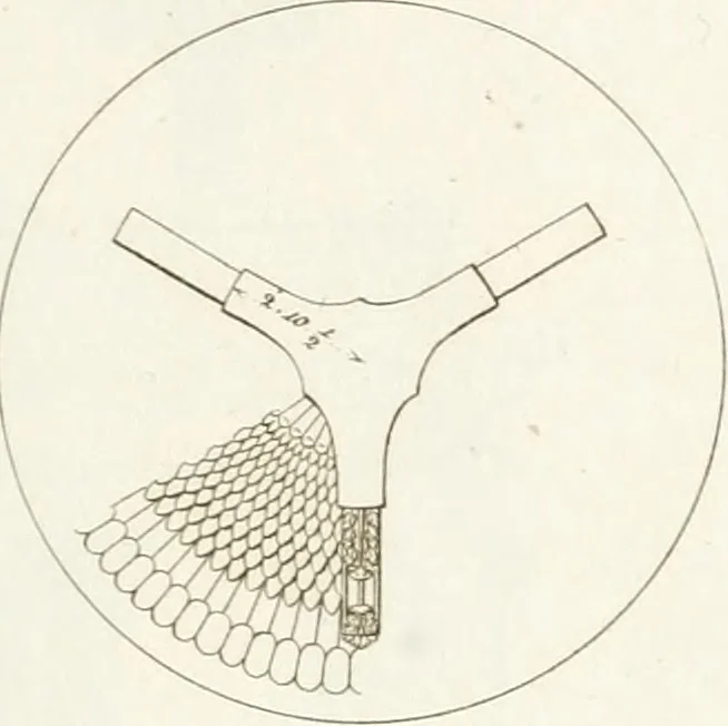 An illustration from Monumenti di fabbriche antiche estratti dai disegni dei piu celebri autori, 1796, leaf 168