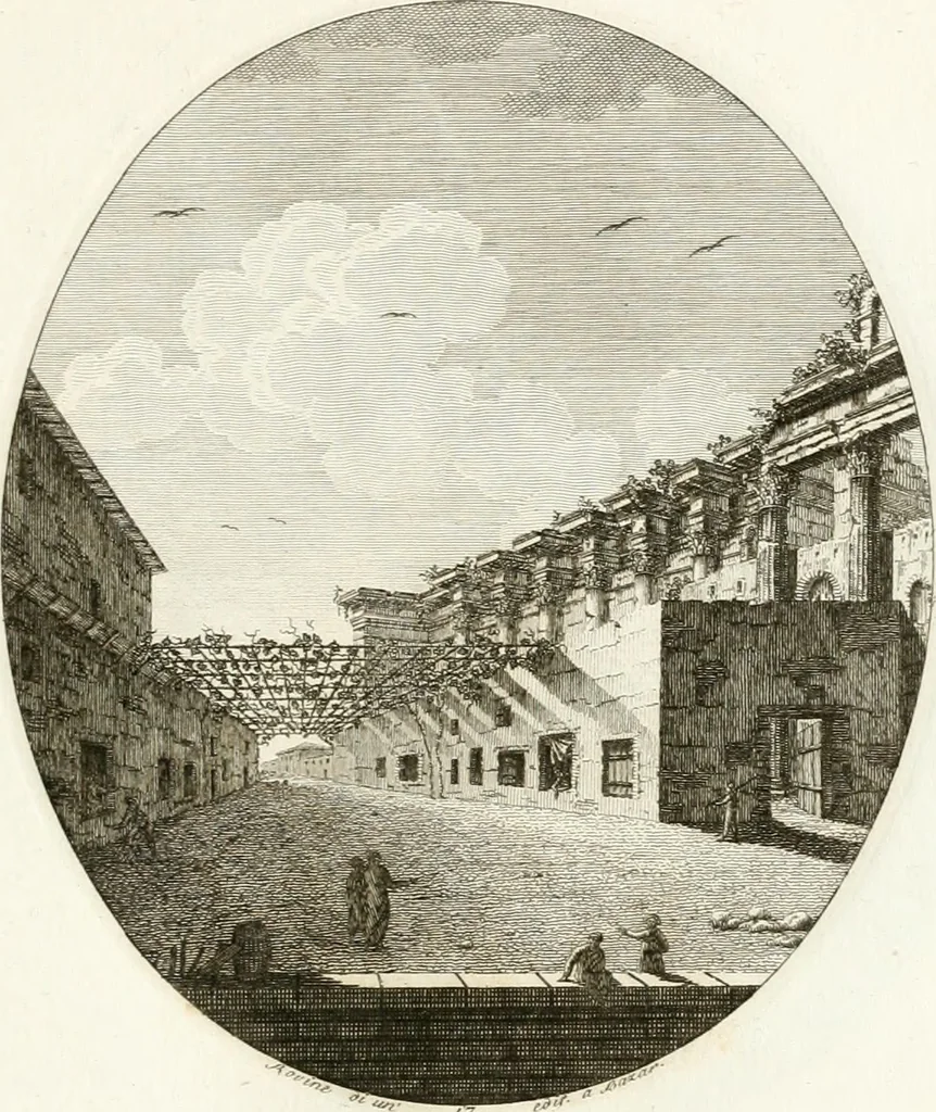 An illustration from Monumenti di fabbriche antiche estratti dai disegni dei piu celebri autori, 1796, leaf 96