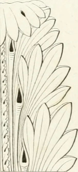 An illustration from Monumenti di fabbriche antiche estratti dai disegni dei piu celebri autori, 1796, leaf 84