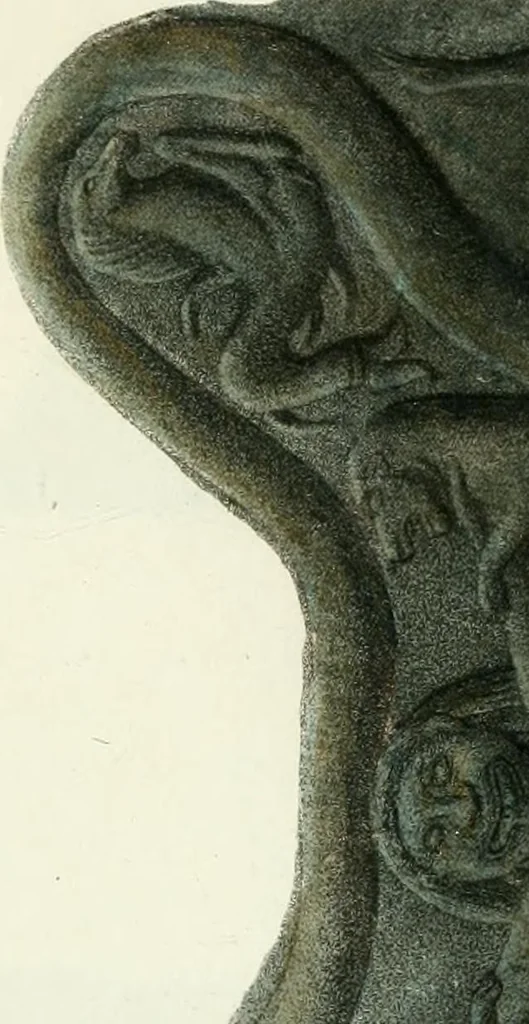 An illustration from Monumenti etruschi o di etrusco nome, 1821, leaf 476