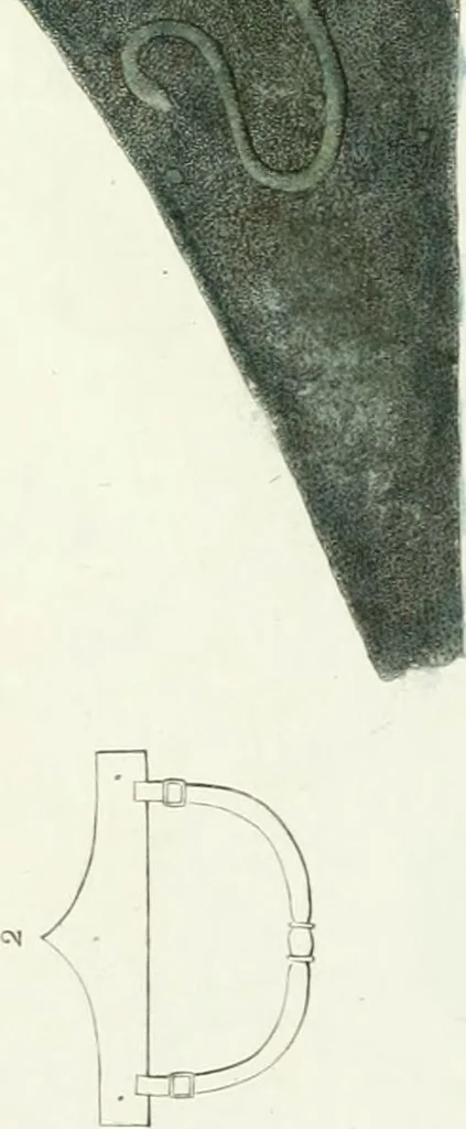 An illustration from Monumenti etruschi o di etrusco nome, 1821, leaf 484