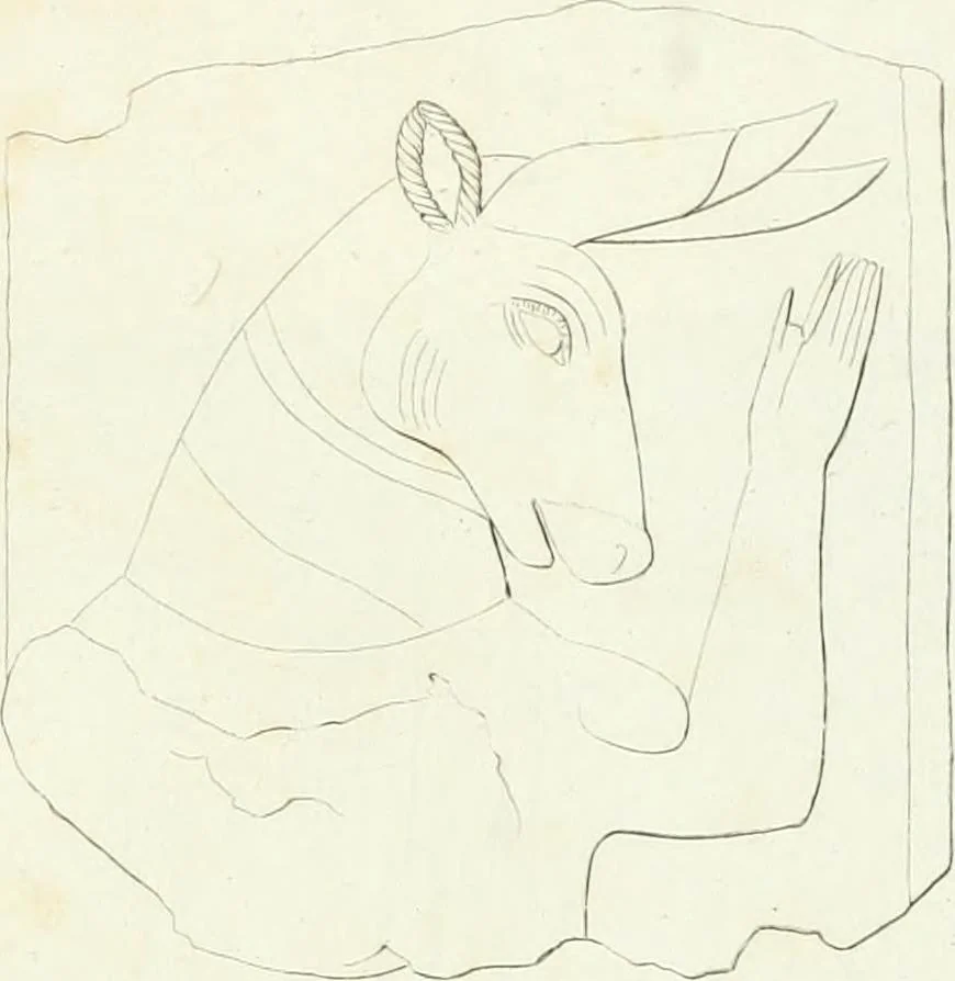 An illustration from Monumenti etruschi o di etrusco nome, 1821, leaf 492