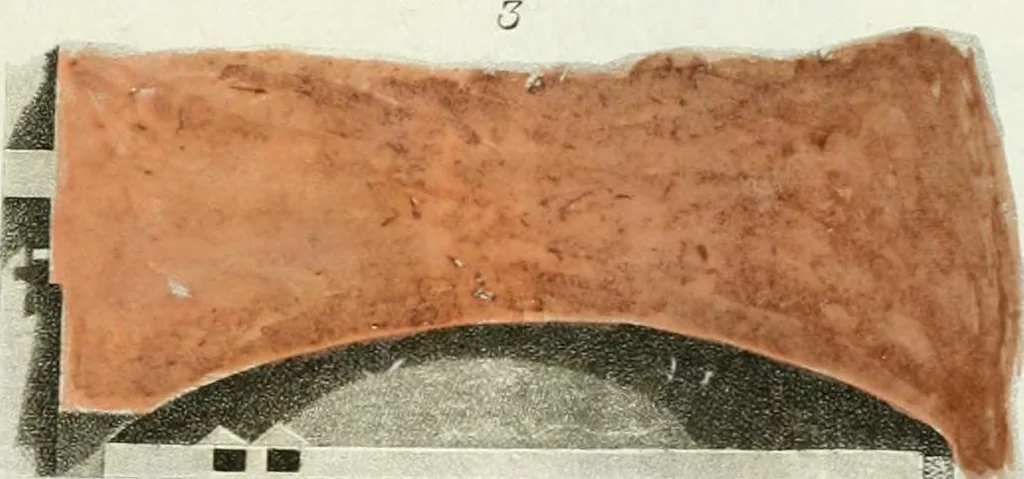 An illustration from Monumenti etruschi o di etrusco nome, 1821, leaf 314