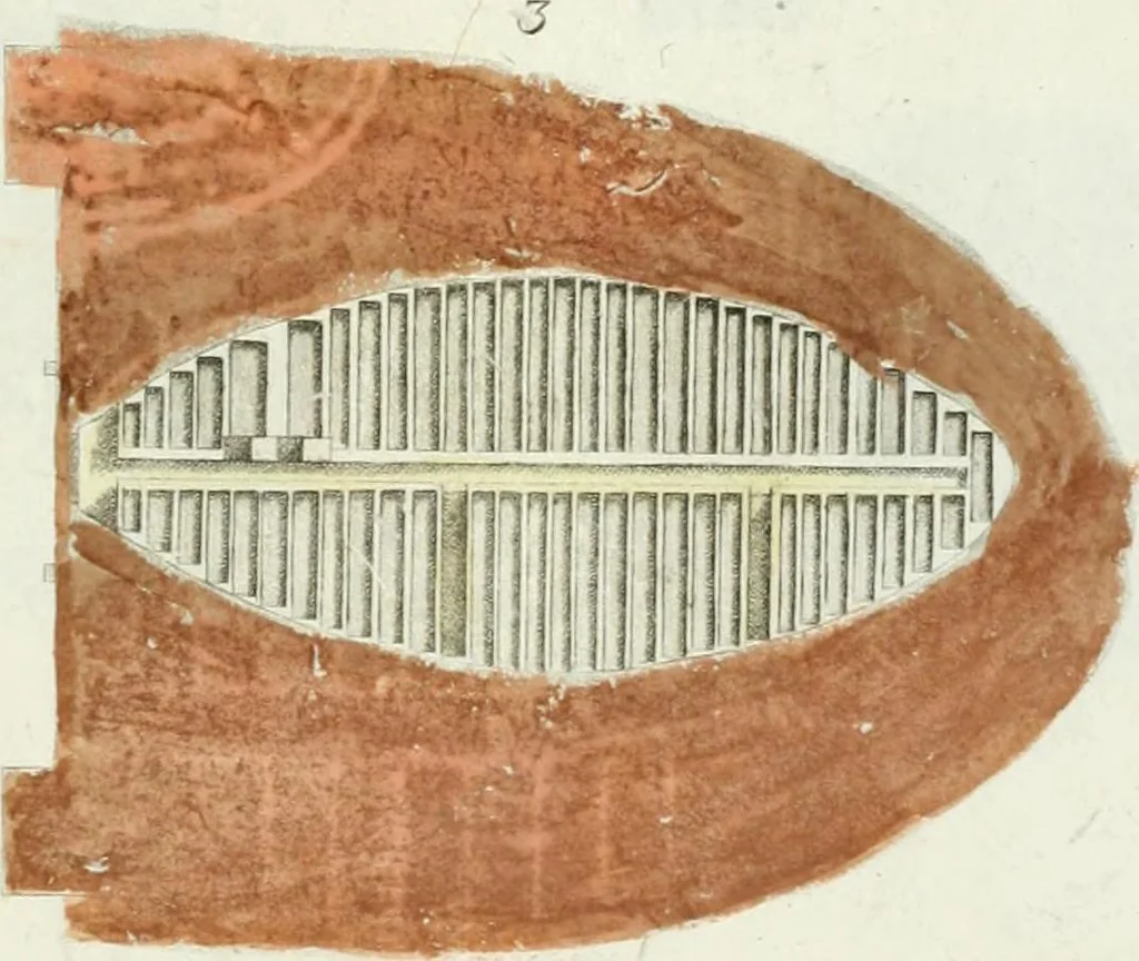 An illustration from Monumenti etruschi o di etrusco nome, 1821, leaf 314