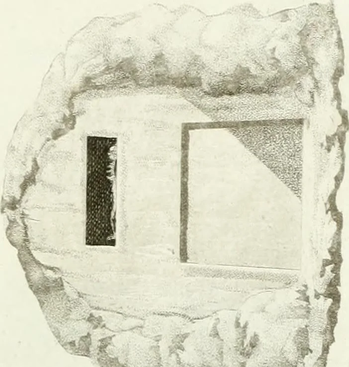 An illustration from Monumenti etruschi o di etrusco nome, 1821, leaf 318