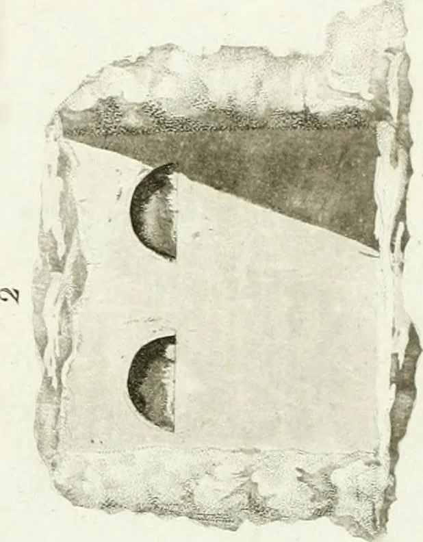 An illustration from Monumenti etruschi o di etrusco nome, 1821, leaf 318