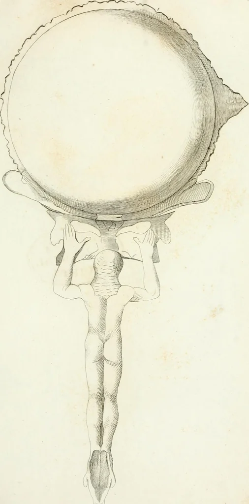 An illustration from Monumenti etruschi o di etrusco nome, 1821, leaf 104