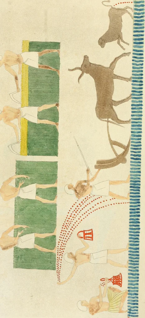 An illustration from Monumenti etruschi o di etrusco nome, 1821, leaf 242
