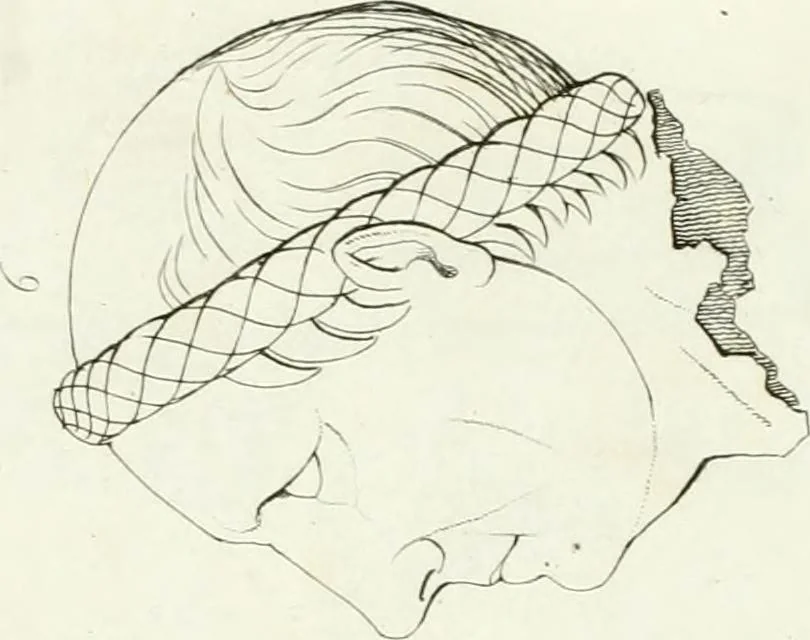 An illustration from Monumenti etruschi o di etrusco nome, 1821, leaf 312