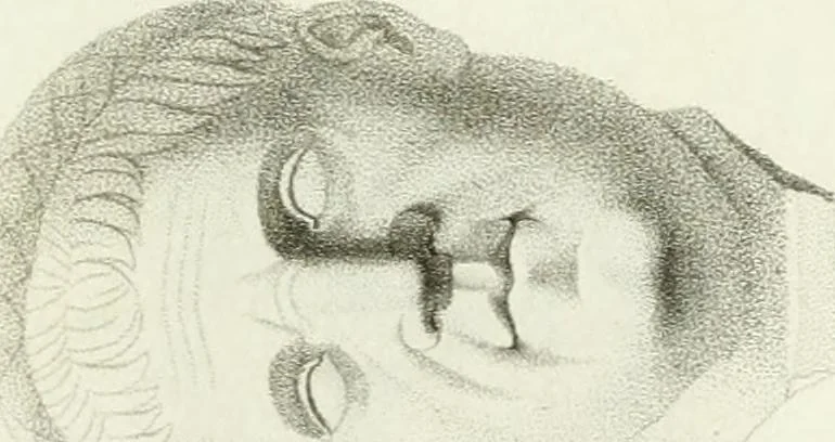 An illustration from Monumenti etruschi o di etrusco nome, 1821, leaf 312