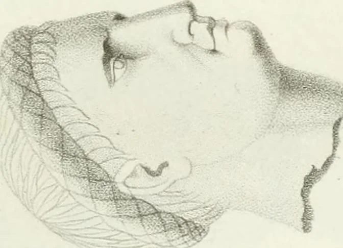 An illustration from Monumenti etruschi o di etrusco nome, 1821, leaf 312