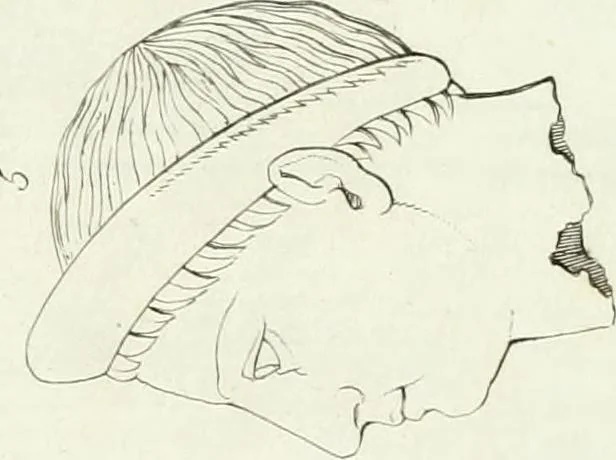 An illustration from Monumenti etruschi o di etrusco nome, 1821, leaf 314