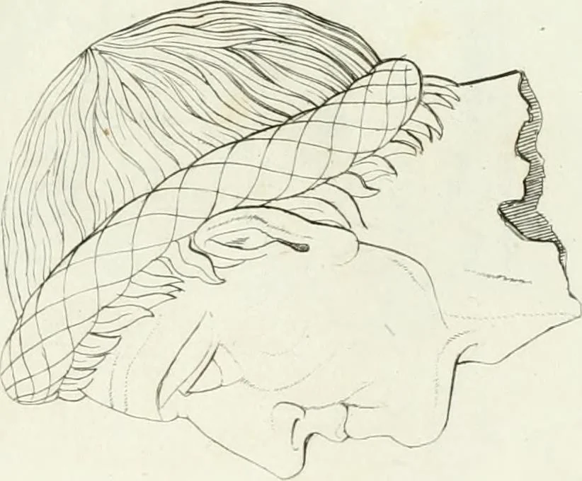 An illustration from Monumenti etruschi o di etrusco nome, 1821, leaf 314