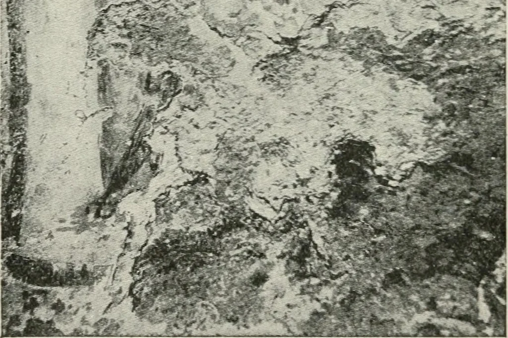 An illustration from Monuments of the early church, 1901, leaf 274