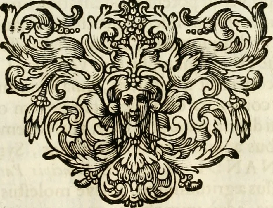 An illustration from Monumentum extremi honoris, perennis virtutis piis manibus serenissimi ac potentissimi principis Ferdinandi Mariae, utriusque Bavariae at superioris Palatinatus ducis ... : in Regio Electorali Templo RR. PP. Clericorum Regularium erectum ac nuncupatum, 1679, leaf 138