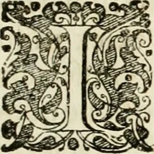 An illustration from Monumentum extremi honoris, perennis virtutis piis manibus serenissimi ac potentissimi principis Ferdinandi Mariae, utriusque Bavariae at superioris Palatinatus ducis ... : in Regio Electorali Templo RR. PP. Clericorum Regularium erectum ac nuncupatum, 1679, leaf 14