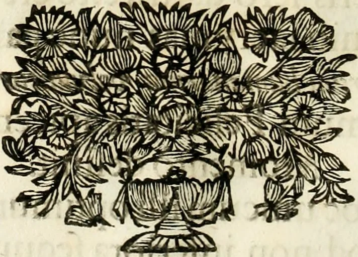 An illustration from Monumentum extremi honoris, perennis virtutis piis manibus serenissimi ac potentissimi principis Ferdinandi Mariae, utriusque Bavariae at superioris Palatinatus ducis ... : in Regio Electorali Templo RR. PP. Clericorum Regularium erectum ac nuncupatum, 1679, leaf 47