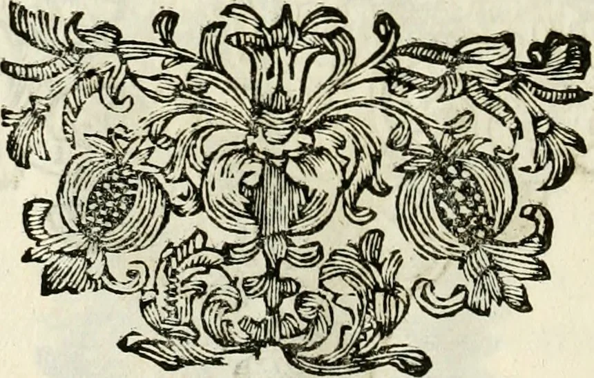 An illustration from Monumentum extremi honoris, perennis virtutis piis manibus serenissimi ac potentissimi principis Ferdinandi Mariae, utriusque Bavariae at superioris Palatinatus ducis ... : in Regio Electorali Templo RR. PP. Clericorum Regularium erectum ac nuncupatum, 1679, leaf 49