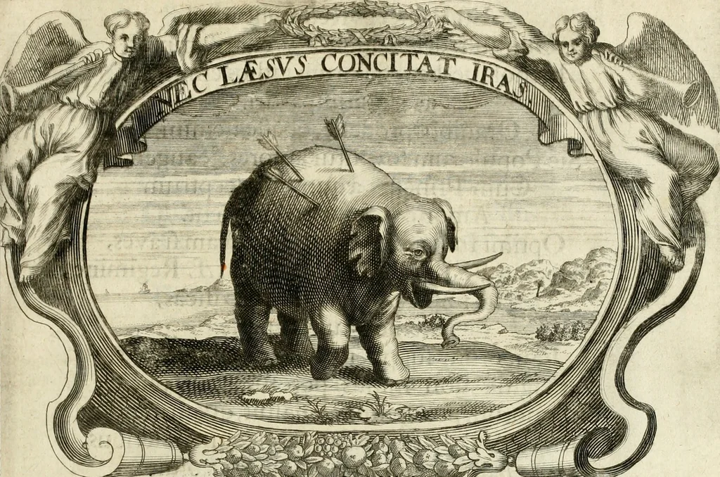 An illustration from Monumentum extremi honoris, perennis virtutis piis manibus serenissimi ac potentissimi principis Ferdinandi Mariae, utriusque Bavariae at superioris Palatinatus ducis ... : in Regio Electorali Templo RR. PP. Clericorum Regularium erectum ac nuncupatum, 1679, leaf 88
