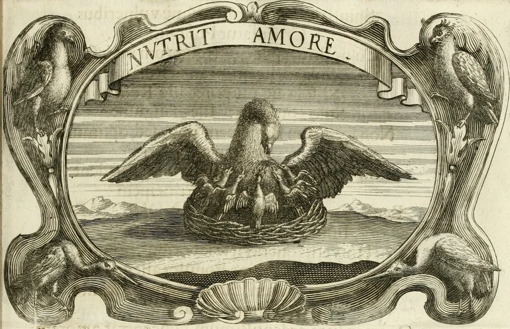 An illustration from Monumentum extremi honoris, perennis virtutis piis manibus serenissimi ac potentissimi principis Ferdinandi Mariae, utriusque Bavariae at superioris Palatinatus ducis ... : in Regio Electorali Templo RR. PP. Clericorum Regularium erectum ac nuncupatum, 1679, leaf 92