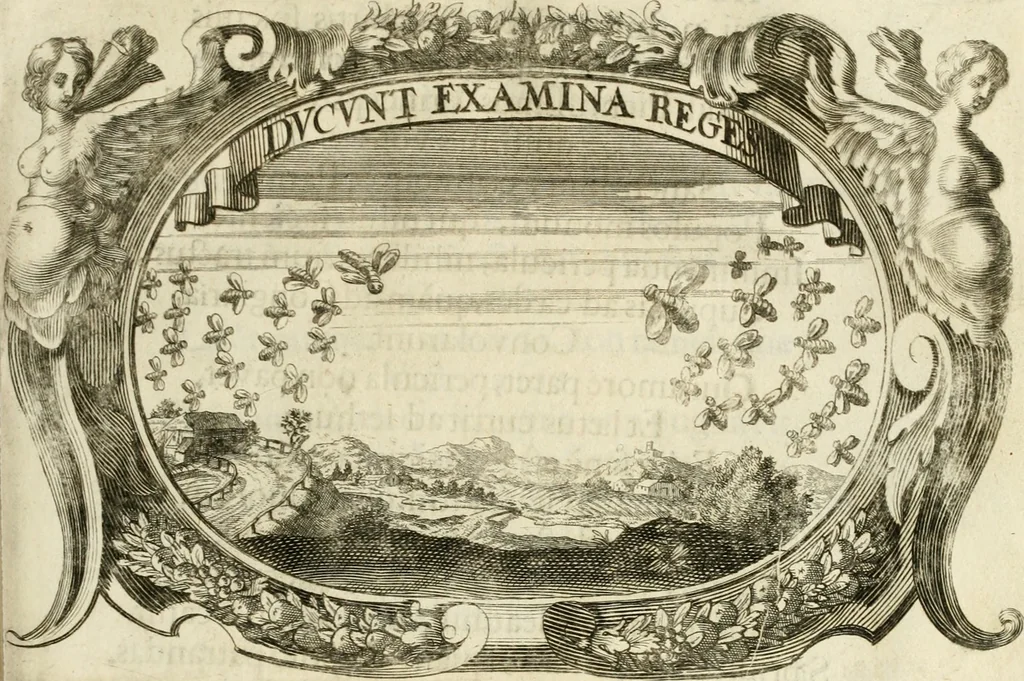 An illustration from Monumentum extremi honoris, perennis virtutis piis manibus serenissimi ac potentissimi principis Ferdinandi Mariae, utriusque Bavariae at superioris Palatinatus ducis ... : in Regio Electorali Templo RR. PP. Clericorum Regularium erectum ac nuncupatum, 1679, leaf 96