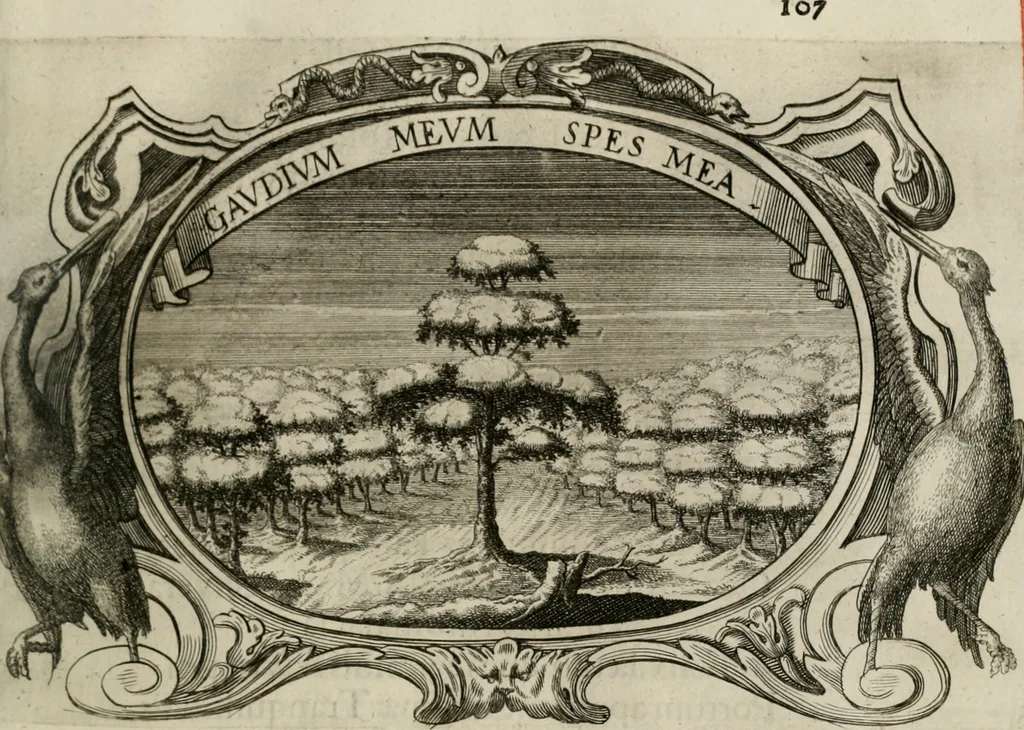 An illustration from Monumentum extremi honoris : perennis virtutis piis manibus serenissimi ac potentissimi principis Ferdinandi Mariae, utriusque Bavariae, ac superioris Palatinatus ducis ... : in Regio Electorali Templo RR. PP. Clericorum Regularium erectum ac nuncupatum, 1679, leaf 116