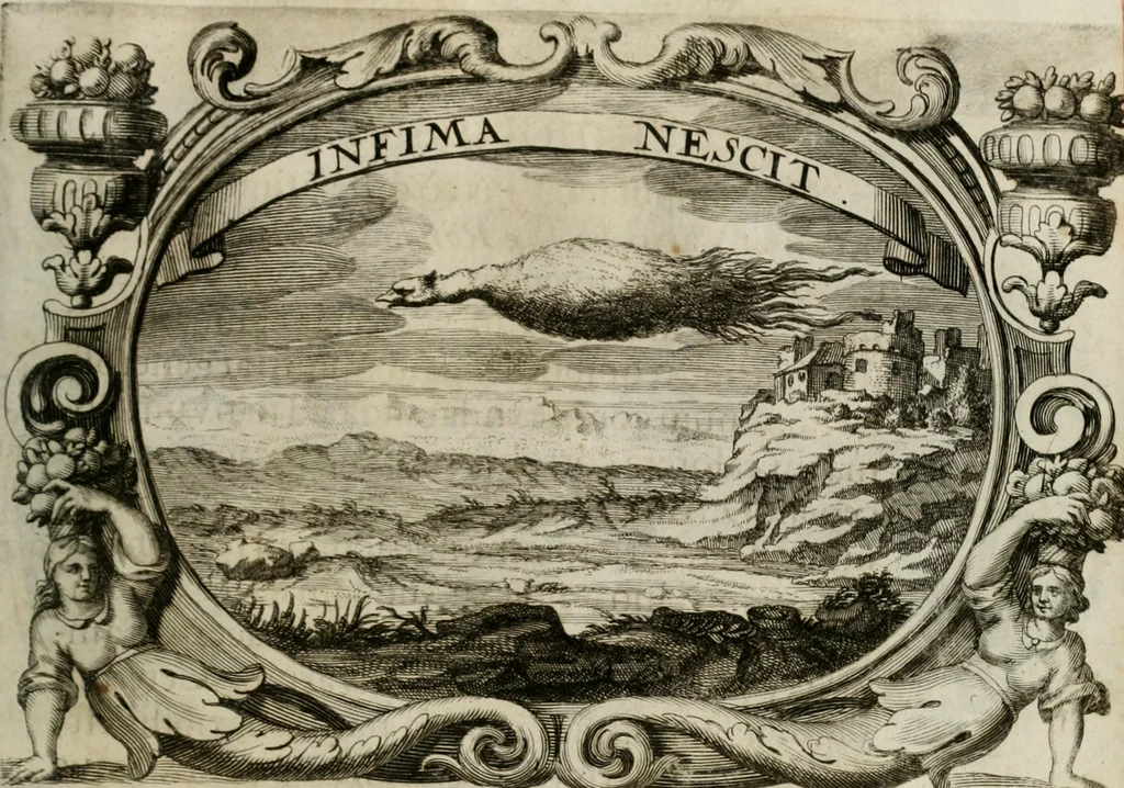 An illustration from Monumentum extremi honoris : perennis virtutis piis manibus serenissimi ac potentissimi principis Ferdinandi Mariae, utriusque Bavariae, ac superioris Palatinatus ducis ... : in Regio Electorali Templo RR. PP. Clericorum Regularium erectum ac nuncupatum, 1679, leaf 174