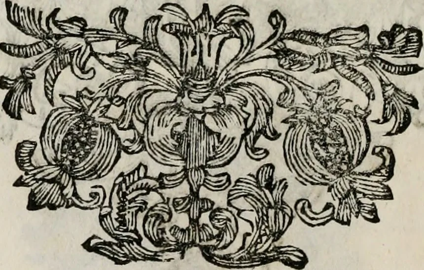 An illustration from Monumentum extremi honoris : perennis virtutis piis manibus serenissimi ac potentissimi principis Ferdinandi Mariae, utriusque Bavariae, ac superioris Palatinatus ducis ... : in Regio Electorali Templo RR. PP. Clericorum Regularium erectum ac nuncupatum, 1679, leaf 49