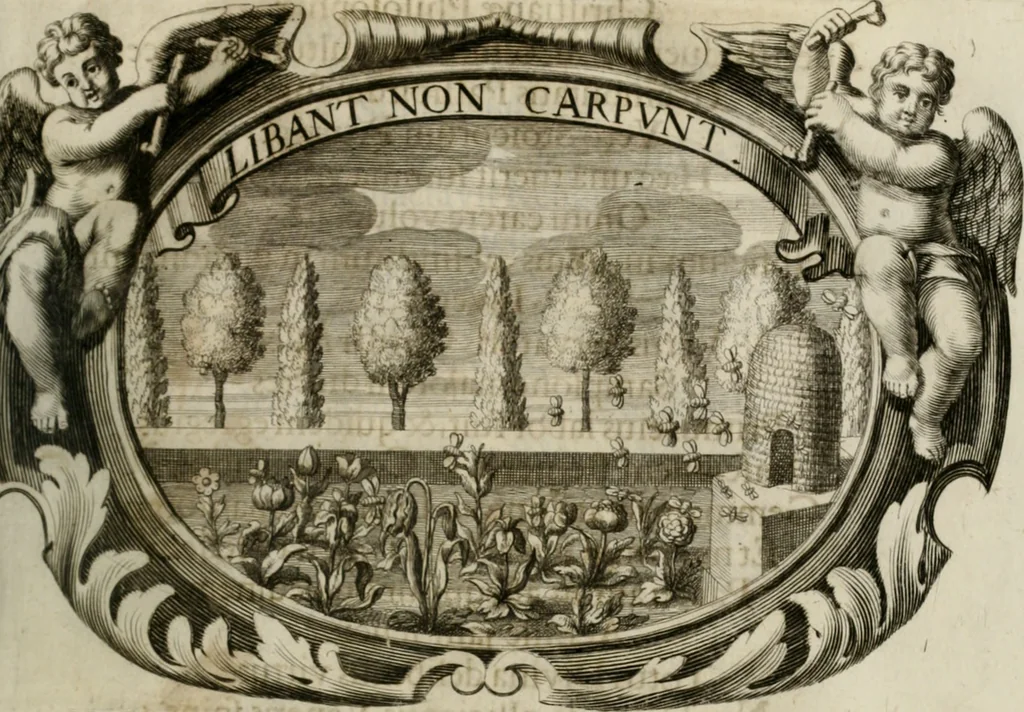 An illustration from Monumentum extremi honoris : perennis virtutis piis manibus serenissimi ac potentissimi principis Ferdinandi Mariae, utriusque Bavariae, ac superioris Palatinatus ducis ... : in Regio Electorali Templo RR. PP. Clericorum Regularium erectum ac nuncupatum, 1679, leaf 76