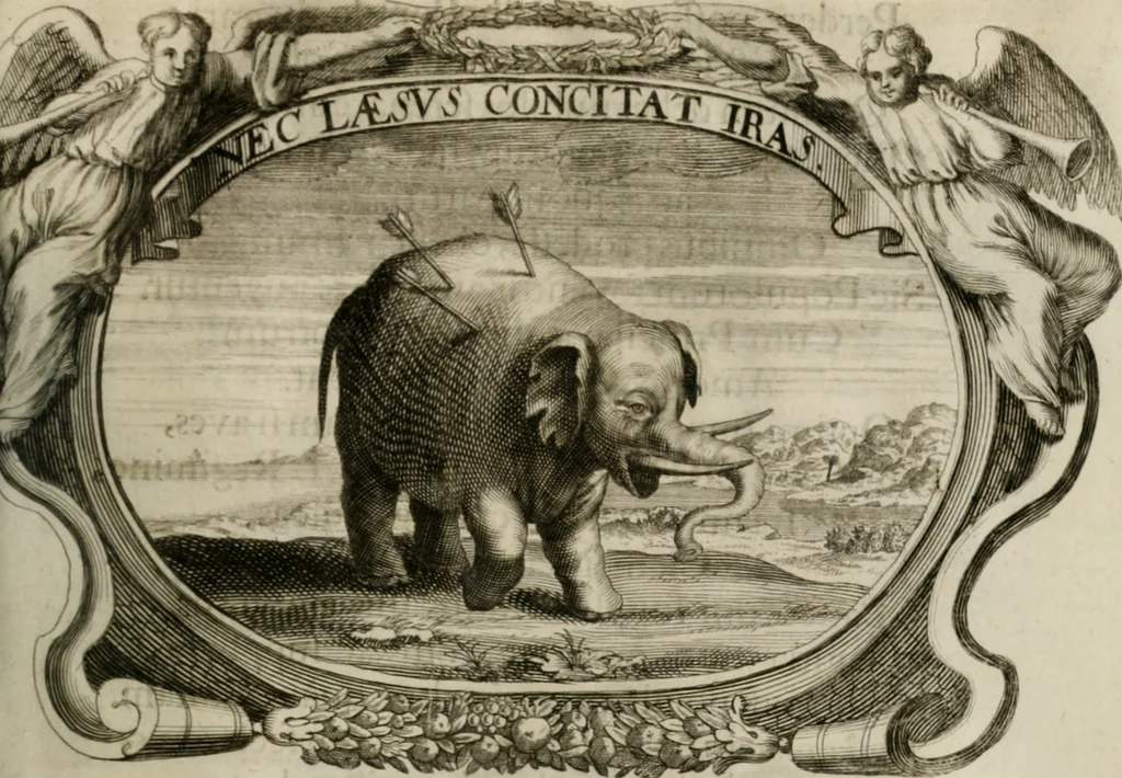 An illustration from Monumentum extremi honoris : perennis virtutis piis manibus serenissimi ac potentissimi principis Ferdinandi Mariae, utriusque Bavariae, ac superioris Palatinatus ducis ... : in Regio Electorali Templo RR. PP. Clericorum Regularium erectum ac nuncupatum, 1679, leaf 88