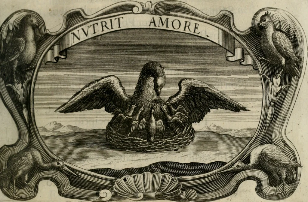 An illustration from Monumentum extremi honoris : perennis virtutis piis manibus serenissimi ac potentissimi principis Ferdinandi Mariae, utriusque Bavariae, ac superioris Palatinatus ducis ... : in Regio Electorali Templo RR. PP. Clericorum Regularium erectum ac nuncupatum, 1679, leaf 92
