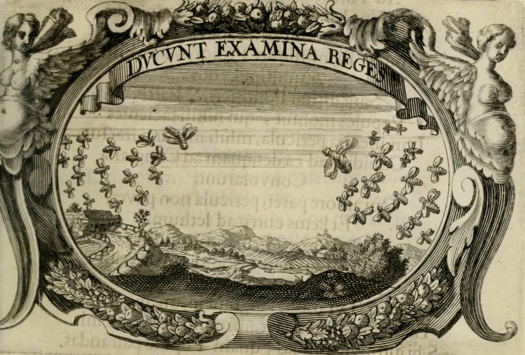 An illustration from Monumentum extremi honoris : perennis virtutis piis manibus serenissimi ac potentissimi principis Ferdinandi Mariae, utriusque Bavariae, ac superioris Palatinatus ducis ... : in Regio Electorali Templo RR. PP. Clericorum Regularium erectum ac nuncupatum, 1679, leaf 96