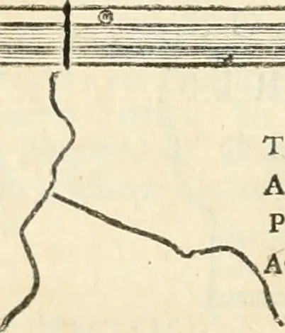 An illustration from Monumentum sive columbarium libertorum et servorum Liviae Augustae et Caesarum : Romae detectum in Via Appia, anno M.D.CC.XXVI., 1727, leaf 122