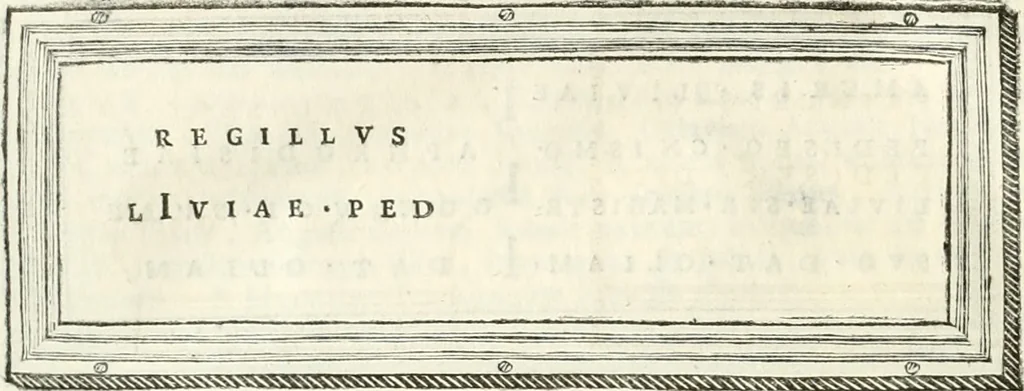 An illustration from Monumentum sive columbarium libertorum et servorum Liviae Augustae et Caesarum : Romae detectum in Via Appia, anno M.D.CC.XXVI., 1727, leaf 141