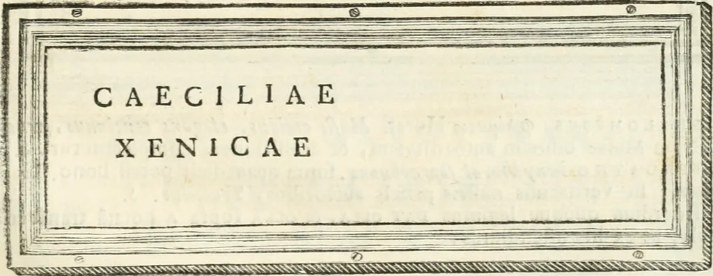 An illustration from Monumentum sive columbarium libertorum et servorum Liviae Augustae et Caesarum : Romae detectum in Via Appia, anno M.D.CC.XXVI., 1727, leaf 152