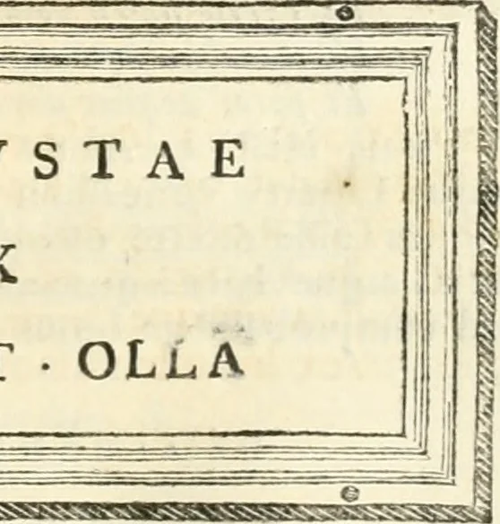 An illustration from Monumentum sive columbarium libertorum et servorum Liviae Augustae et Caesarum : Romae detectum in Via Appia, anno M.D.CC.XXVI., 1727, leaf 154