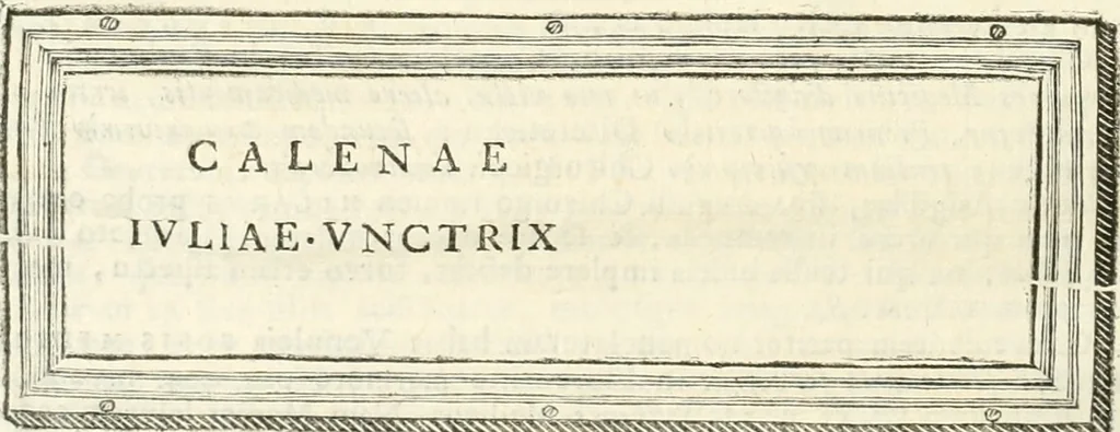 An illustration from Monumentum sive columbarium libertorum et servorum Liviae Augustae et Caesarum : Romae detectum in Via Appia, anno M.D.CC.XXVI., 1727, leaf 163