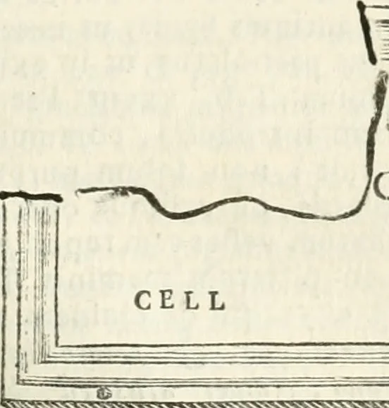 An illustration from Monumentum sive columbarium libertorum et servorum Liviae Augustae et Caesarum : Romae detectum in Via Appia, anno M.D.CC.XXVI., 1727, leaf 178