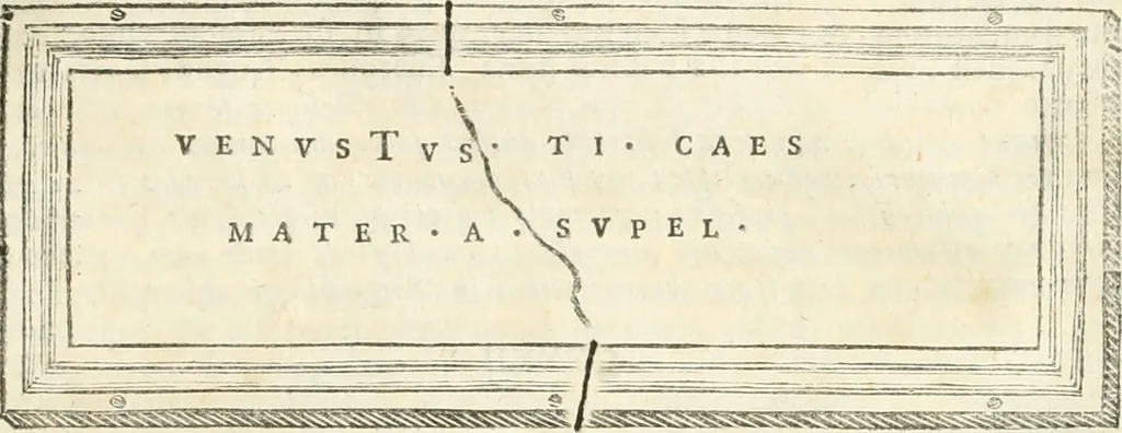 An illustration from Monumentum sive columbarium libertorum et servorum Liviae Augustae et Caesarum : Romae detectum in Via Appia, anno M.D.CC.XXVI., 1727, leaf 200