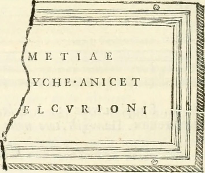 An illustration from Monumentum sive columbarium libertorum et servorum Liviae Augustae et Caesarum : Romae detectum in Via Appia, anno M.D.CC.XXVI., 1727, leaf 205