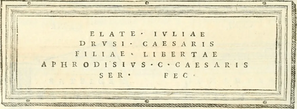 An illustration from Monumentum sive columbarium libertorum et servorum Liviae Augustae et Caesarum : Romae detectum in Via Appia, anno M.D.CC.XXVI., 1727, leaf 213